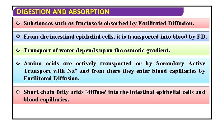 DIGESTION AND ABSORPTION v Substances such as fructose is absorbed by Facilitated Diffusion. v