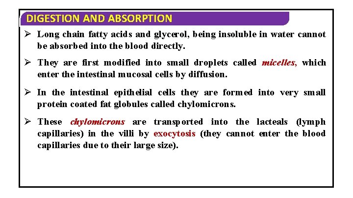 DIGESTION AND ABSORPTION Ø Long chain fatty acids and glycerol, being insoluble in water