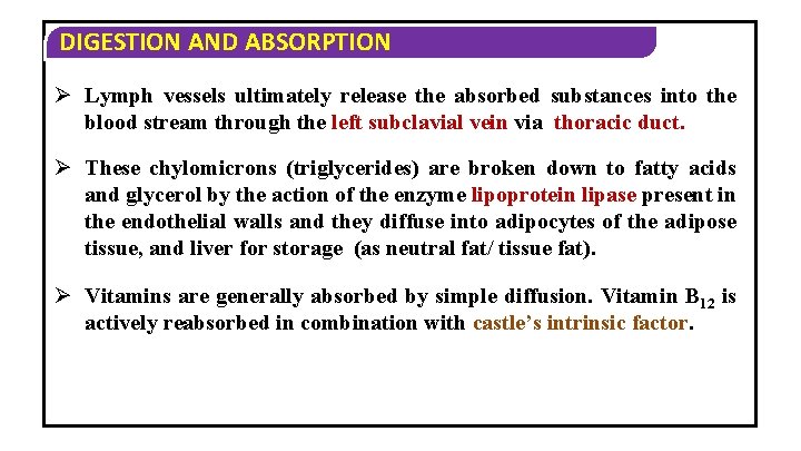 DIGESTION AND ABSORPTION Ø Lymph vessels ultimately release the absorbed substances into the blood