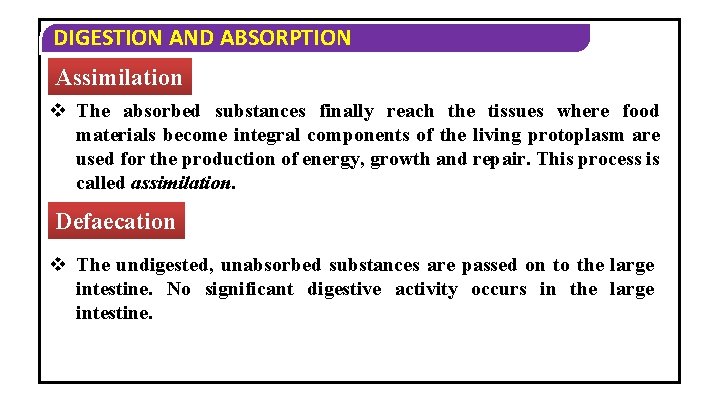 DIGESTION AND ABSORPTION Assimilation v The absorbed substances finally reach the tissues where food