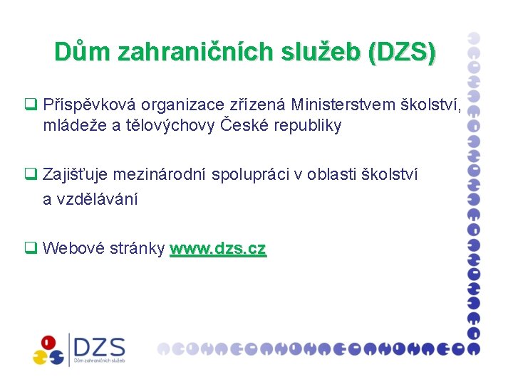 Dům zahraničních služeb (DZS) q Příspěvková organizace zřízená Ministerstvem školství, mládeže a tělovýchovy České