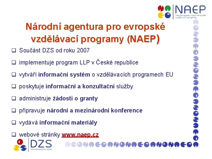 Národní agentura pro evropské vzdělávací programy (NAEP) q Součást DZS od roku 2007 q