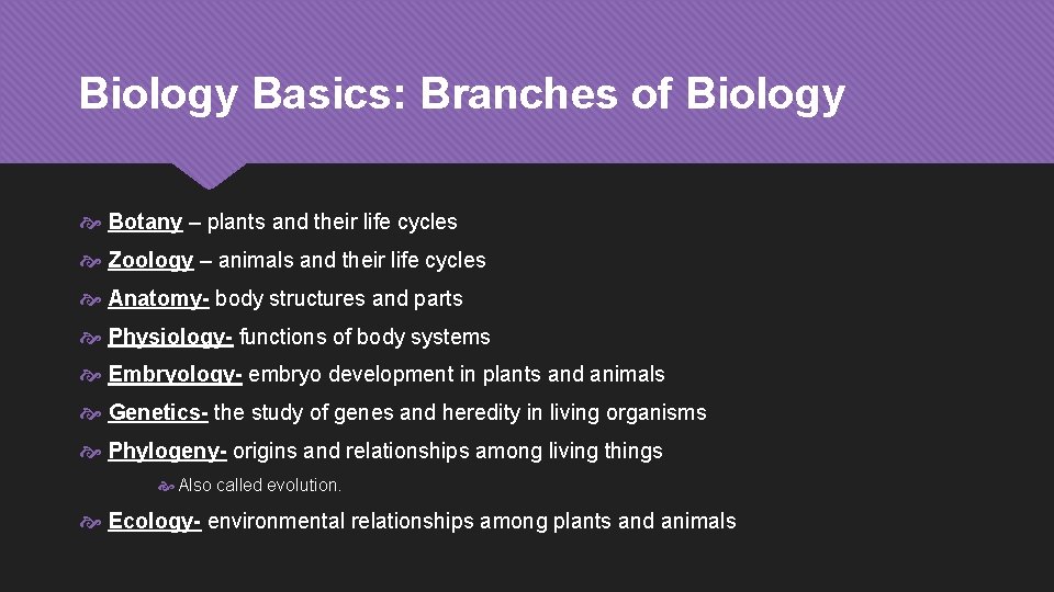 Biology Basics: Branches of Biology Botany – plants and their life cycles Zoology –