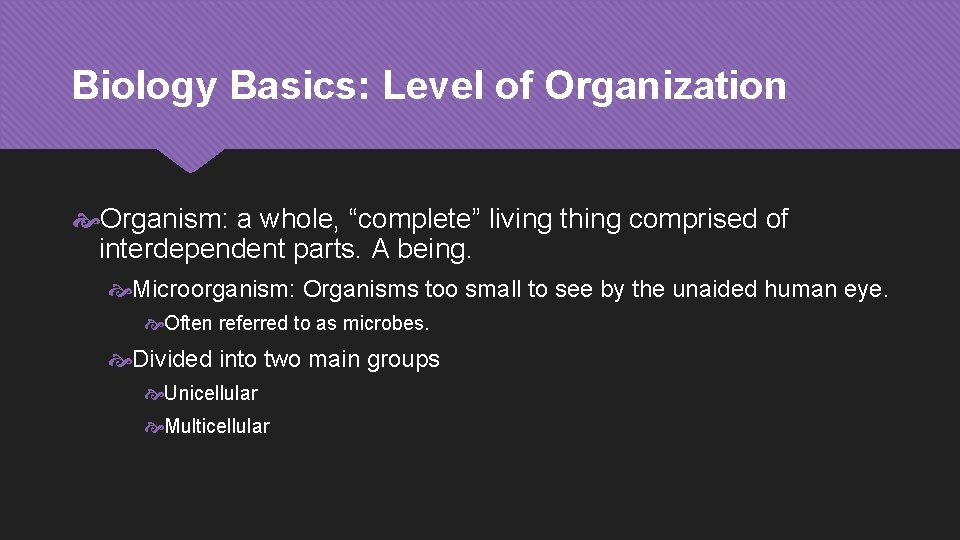 Biology Basics: Level of Organization Organism: a whole, “complete” living thing comprised of interdependent