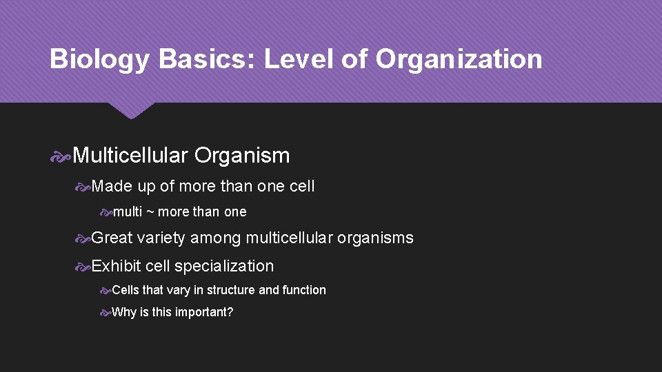 Biology Basics: Level of Organization Multicellular Organism Made up of more than one cell
