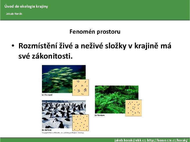 Úvod do ekologie krajiny Jakub Horák Fenomén prostoru • Rozmístění živé a neživé složky