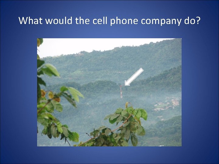 What would the cell phone company do? 