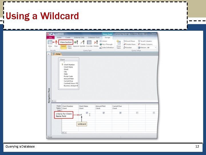 Using a Wildcard Querying a Database 12 