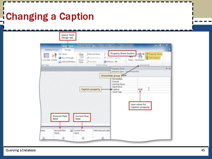 Changing a Caption Querying a Database 45 