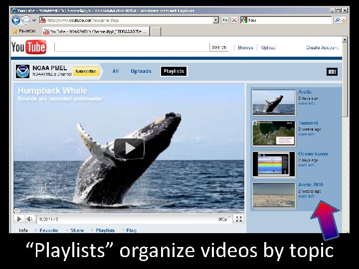 “Playlists” organize videos by topic 