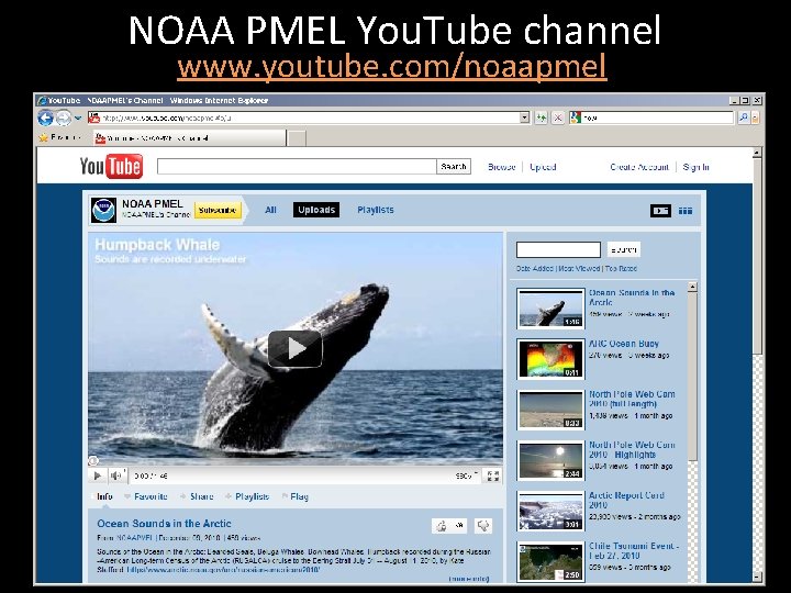 NOAA PMEL You. Tube channel www. youtube. com/noaapmel 