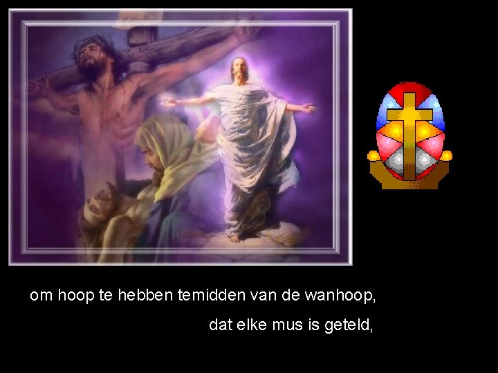 om hoop te hebben temidden van de wanhoop, dat elke mus is geteld, 