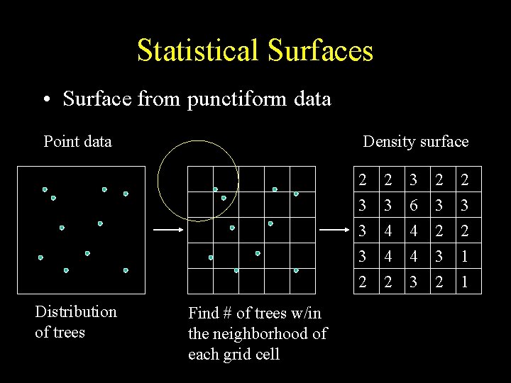 Statistical Surfaces • Surface from punctiform data Point data Distribution of trees Density surface