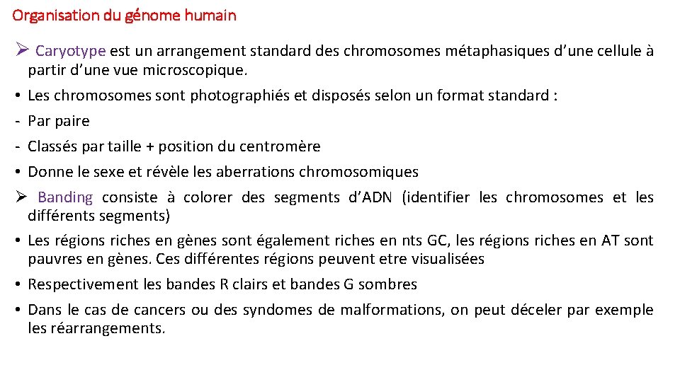 Organisation du génome humain Ø Caryotype est un arrangement standard des chromosomes métaphasiques d’une Organisation du génome humain Ø Caryotype est un arrangement standard des chromosomes métaphasiques d’une