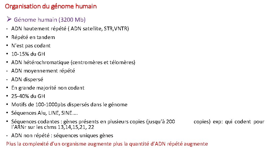 Organisation du génome humain Ø Génome humain (3200 Mb) • • • ADN hautement Organisation du génome humain Ø Génome humain (3200 Mb) • • • ADN hautement