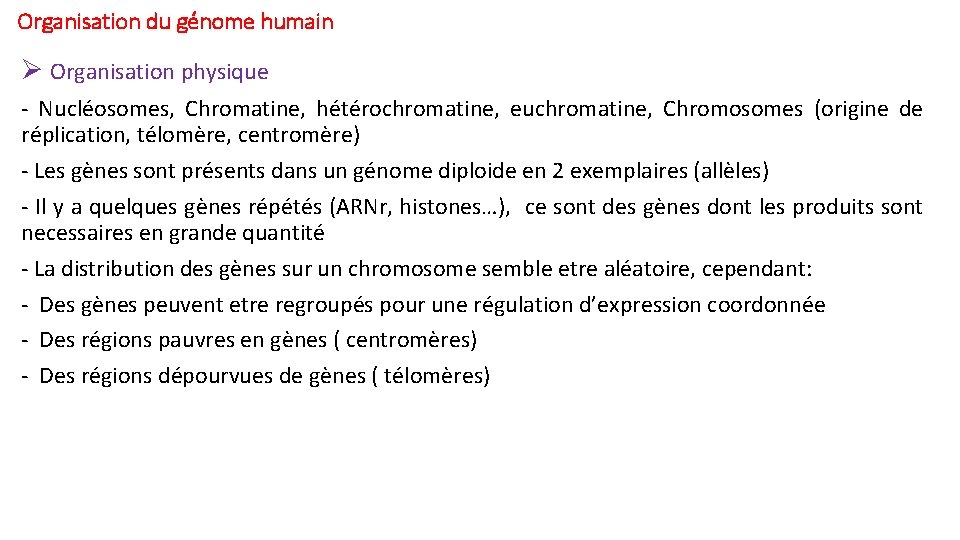 Organisation du génome humain Ø Organisation physique - Nucléosomes, Chromatine, hétérochromatine, euchromatine, Chromosomes (origine Organisation du génome humain Ø Organisation physique - Nucléosomes, Chromatine, hétérochromatine, euchromatine, Chromosomes (origine