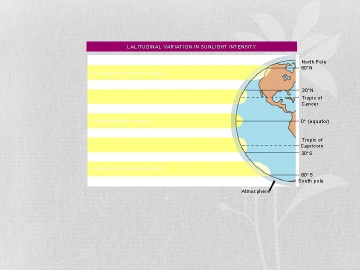LALITUDINAL VARIATION IN SUNLIGHT INTENSITY North Pole 60 N Low angle of incoming sunlight