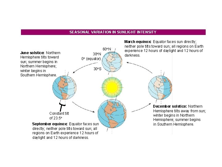 SEASONAL VARIATION IN SUNLIGHT INTENSITY June solstice: Northern Hemisphere tilts toward sun; summer begins