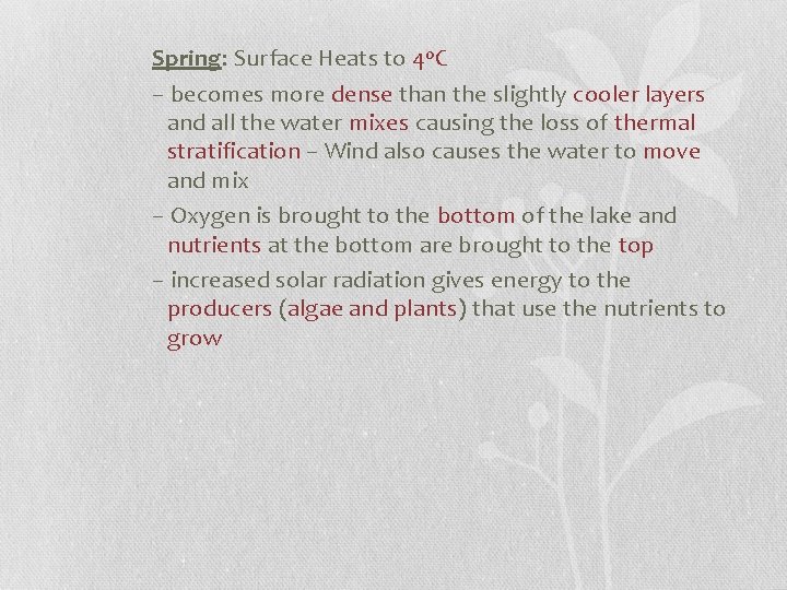 Spring: Surface Heats to 4 o. C – becomes more dense than the slightly