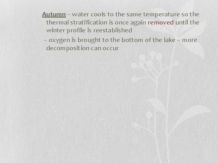 Autumn – water cools to the same temperature so thermal stratification is once again