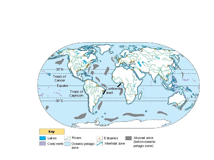 30 N Tropic of Cancer Equator Tropic of Capricorn Continental shelf 30 S Key