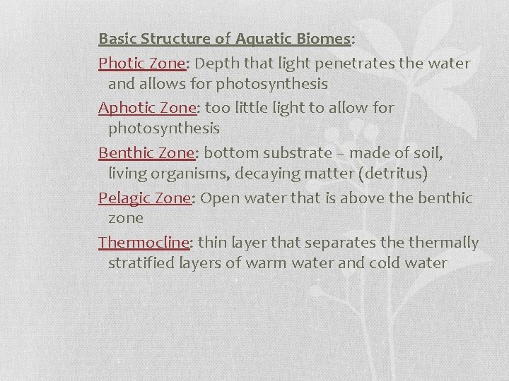 Basic Structure of Aquatic Biomes: Photic Zone: Depth that light penetrates the water and