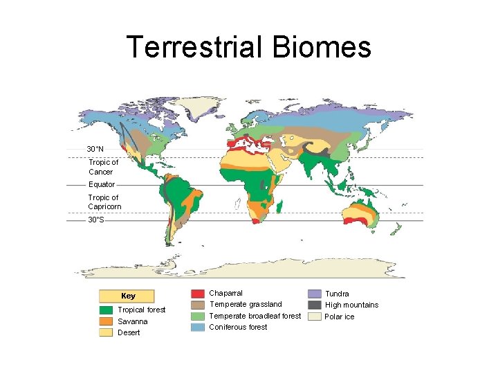 Terrestrial Biomes 30 N Tropic of Cancer Equator Tropic of Capricorn 30 S Key
