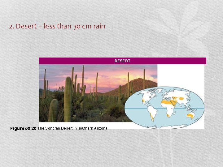 2. Desert – less than 30 cm rain DESERT Figure 50. 20 The Sonoran