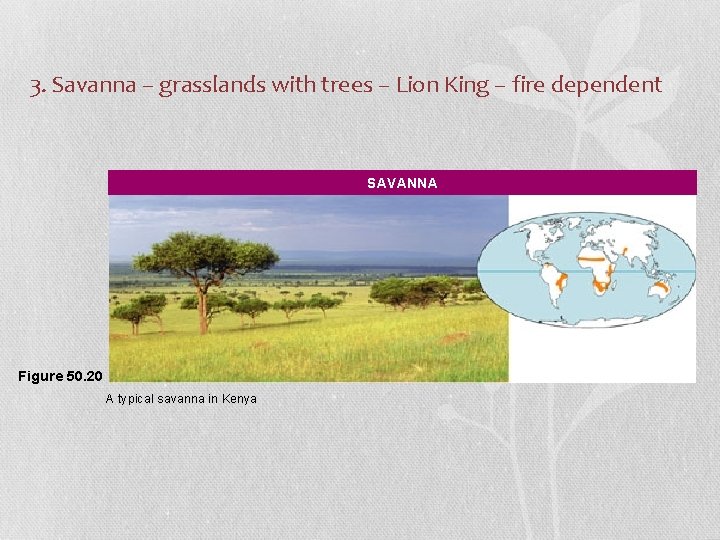 3. Savanna – grasslands with trees – Lion King – fire dependent SAVANNA Figure