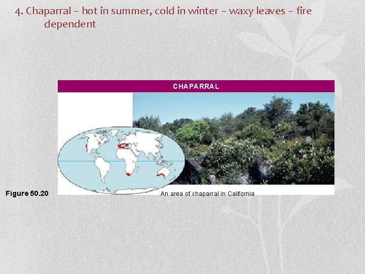 4. Chaparral – hot in summer, cold in winter – waxy leaves – fire