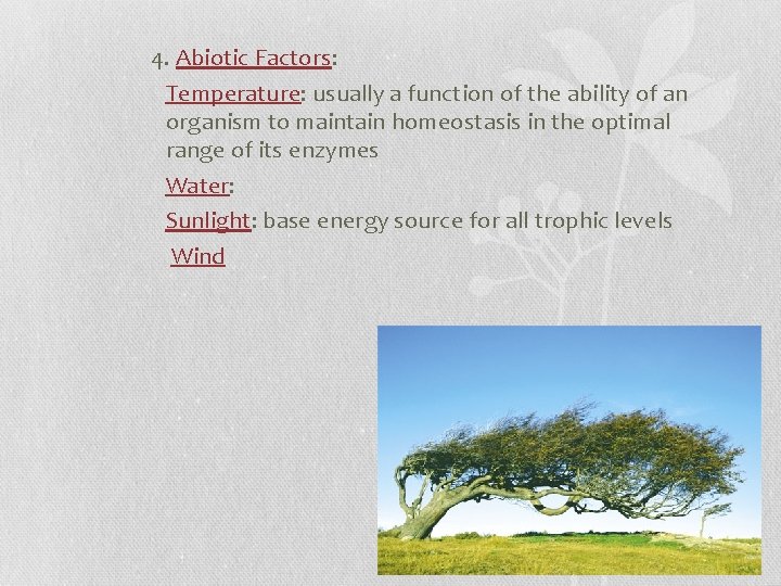 4. Abiotic Factors: Temperature: usually a function of the ability of an organism to