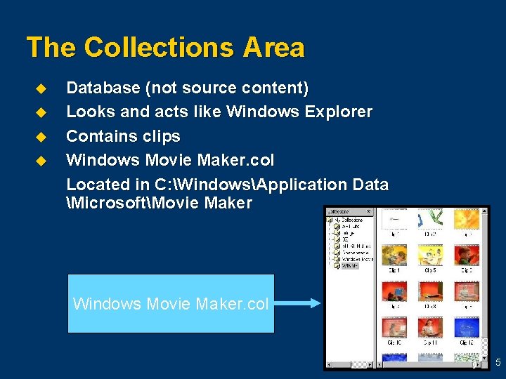 The Collections Area u u Database (not source content) Looks and acts like Windows