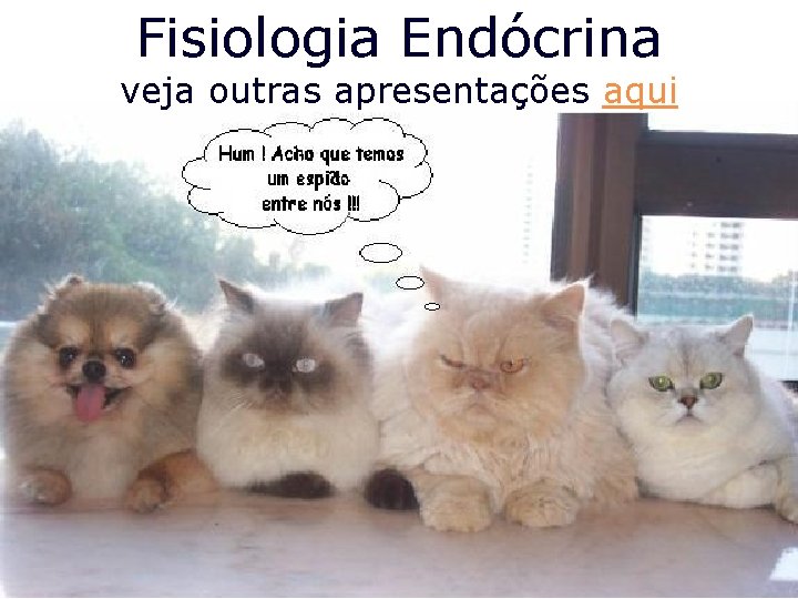 Fisiologia Endócrina veja outras apresentações aqui 