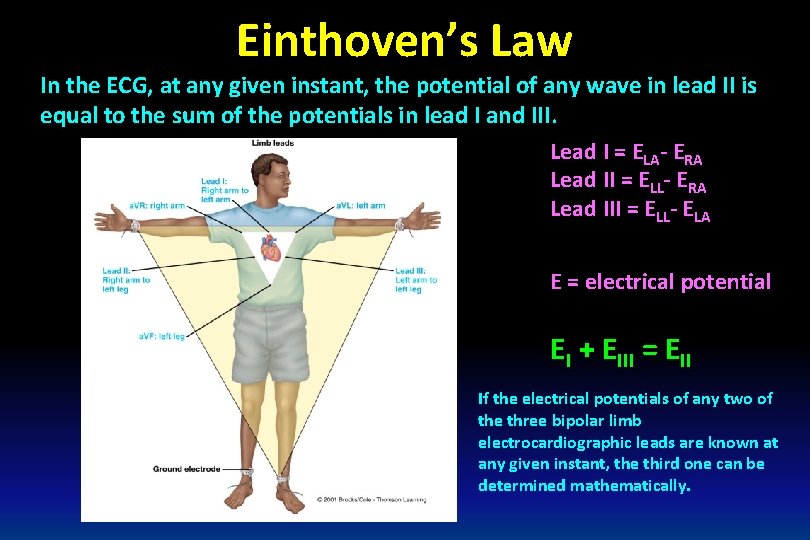 Einthoven’s Law In the ECG, at any given instant, the potential of any wave