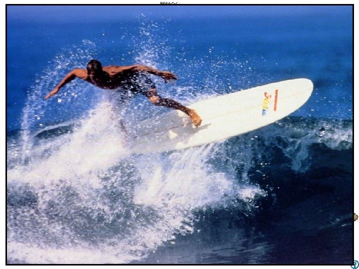 California Surfing 