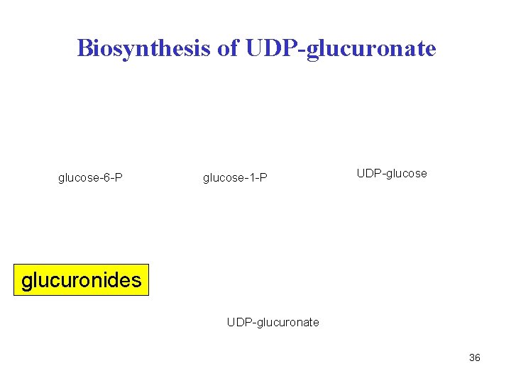 Biosynthesis of UDP-glucuronate glucose-6 -P glucose-1 -P UDP-glucose glucuronides UDP-glucuronate 36 