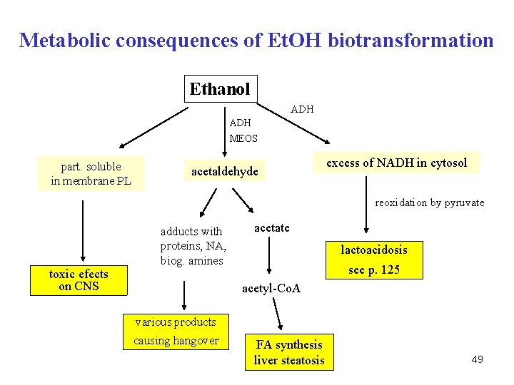 Metabolic consequences of Et. OH biotransformation Ethanol ADH MEOS part. soluble in membrane PL