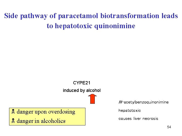 Side pathway of paracetamol biotransformation leads to hepatotoxic quinonimine CYPE 21 induced by alcohol