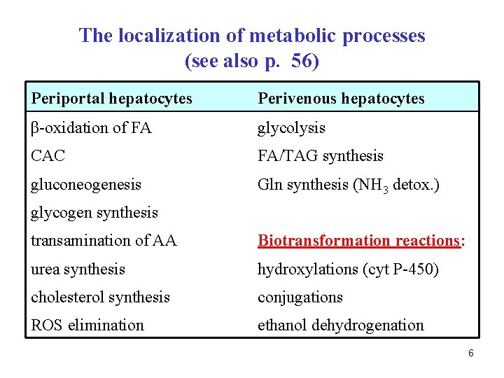 The localization of metabolic processes (see also p. 56) Periportal hepatocytes Perivenous hepatocytes β-oxidation