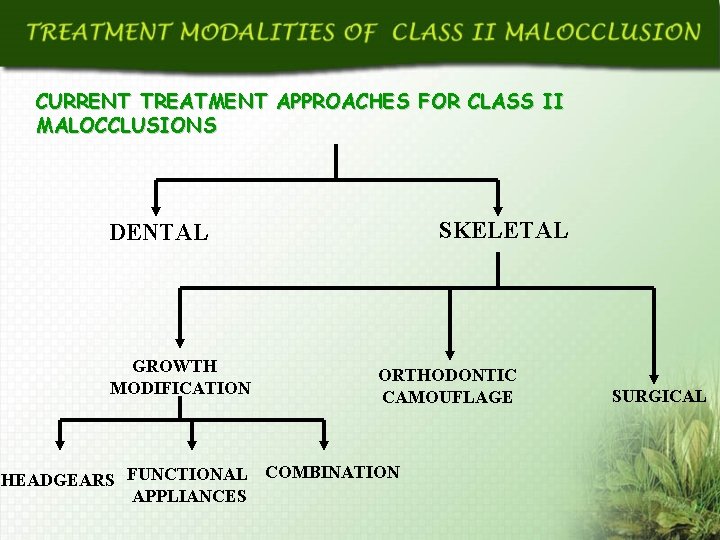 CURRENT TREATMENT APPROACHES FOR CLASS II MALOCCLUSIONS SKELETAL DENTAL GROWTH MODIFICATION ORTHODONTIC CAMOUFLAGE HEADGEARS