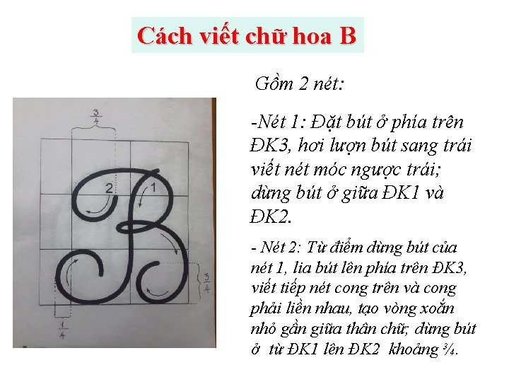 Cách viết chữ hoa B Gồm 2 nét: -Nét 1: Đặt bút ở phía