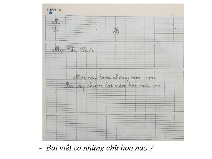 - Bài viết có những chữ hoa nào ? 