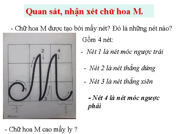 Quan sát, nhận xét chữ hoa M. - Chữ hoa M được tạo bởi