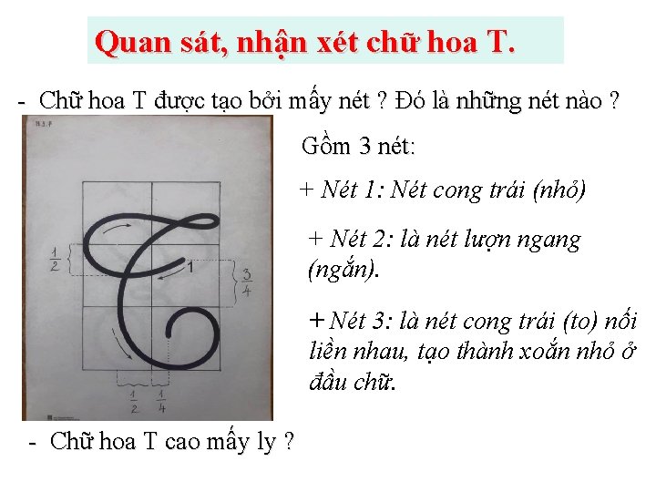 Quan sát, nhận xét chữ hoa T. - Chữ hoa T được tạo bởi