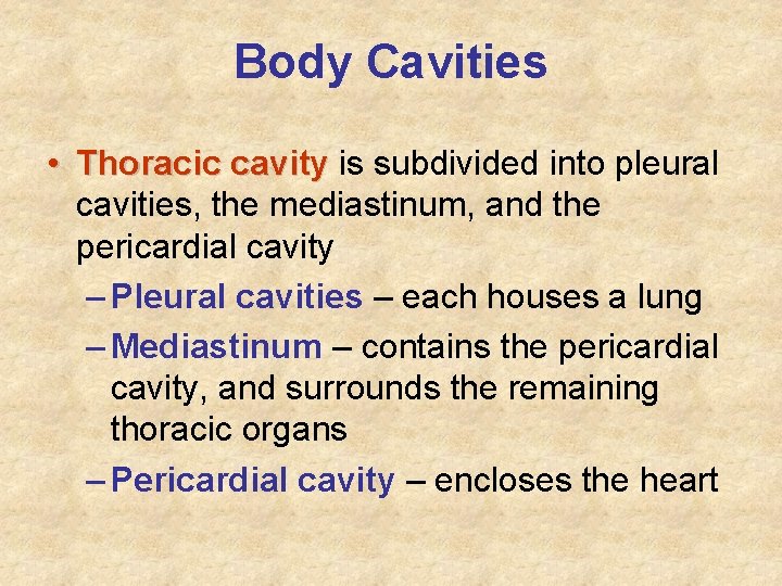 Body Cavities • Thoracic cavity is subdivided into pleural cavities, the mediastinum, and the