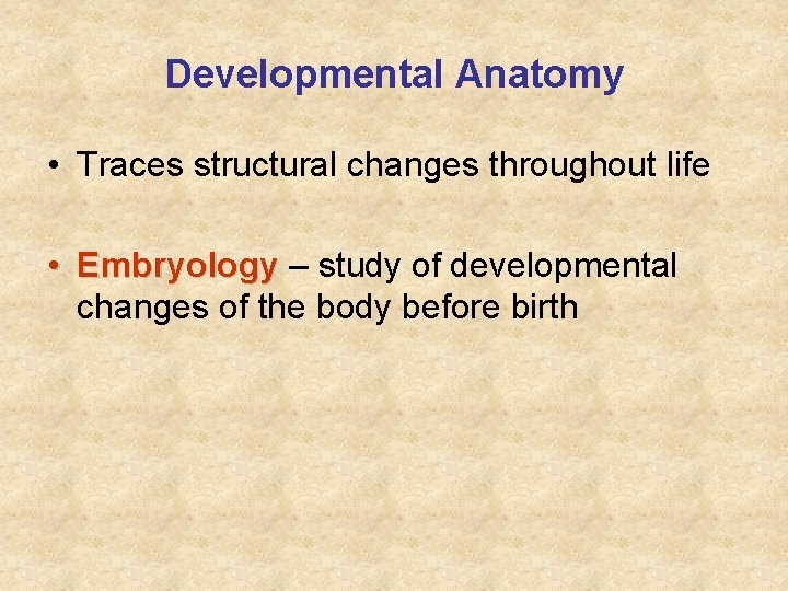 Developmental Anatomy • Traces structural changes throughout life • Embryology – study of developmental