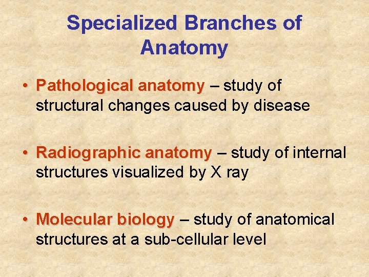 Specialized Branches of Anatomy • Pathological anatomy – study of structural changes caused by