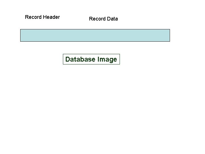 Record Header Record Database Image 