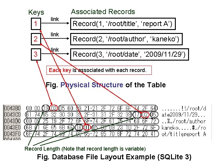 Keys 1 2 3 Associated Records link Record(1, ‘/root/title’, ‘report A’) Record(2, ‘/root/author’, ‘kaneko’)