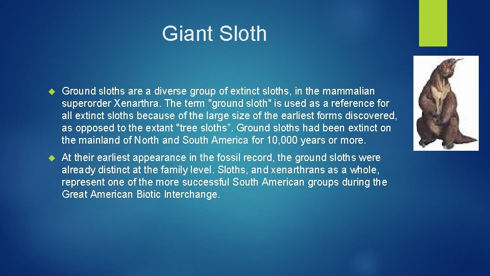 Giant Sloth Ground sloths are a diverse group of extinct sloths, in the mammalian